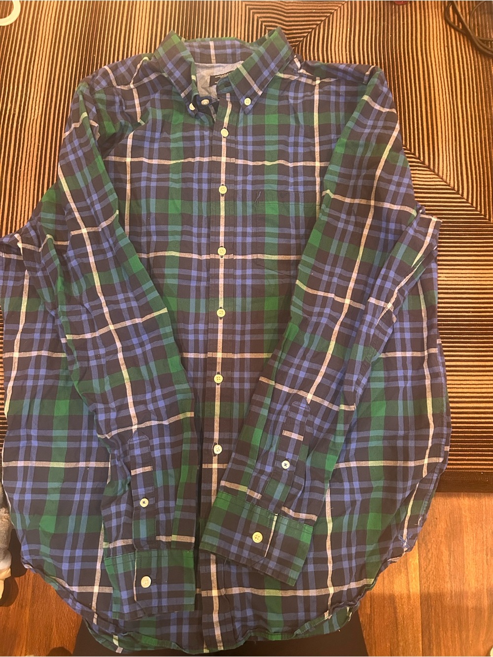 American Eagle Outfitters Blue and Green Plaid Button-Down Shirt